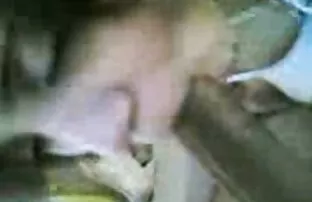 அரபு பெண் கருப்பு சேவல் சக்ஸ்.