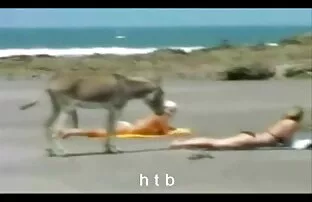 வேடிக்கை .4.htb