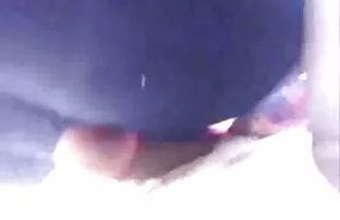 பிடிக்கும் கழுதை