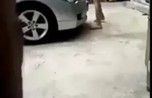 தாய் வெளிப்புறம்