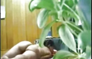 ஆசிய வயது பெண் நக்கி