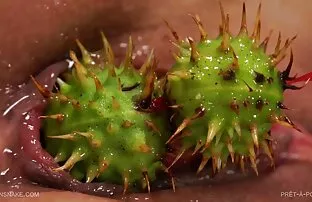 ஒரு போர்ட்டரை அழுத்தவும்