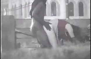 டெட்ராய்ட் பூங்காவில் அலங்கரிக்கப்பட்ட விபச்சார நாய்