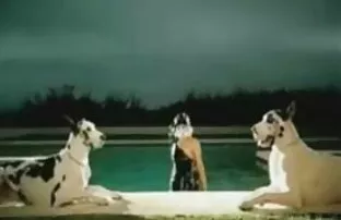 லேடி காகா தனியா