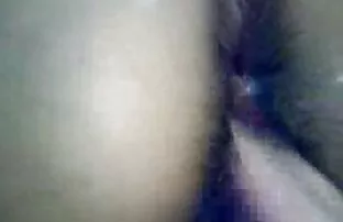 ஜப்பானிய லிசா