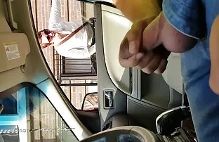 குறுகிய முடி சேவல் ஃபிளாஷ்