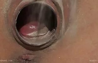 - பாலைவன இதயம் 1
