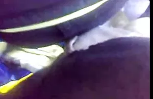 கவர்ச்சியான நாய் படம்