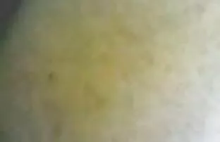 மலாய் செக்ஸ்