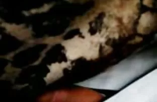 பஸ் அழுத்தவும்