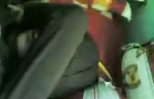 மலாய் மு விசிறி
