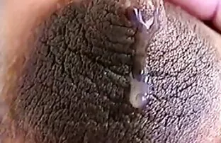 பால் கர்ப்பிணி