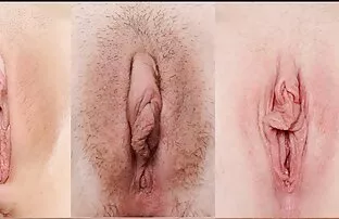 சிறப்பு நிகழ்ச்சி