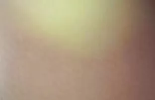 தொடர் 185 அப்ஸ்கர்ட் அனுபவிக்கவும்