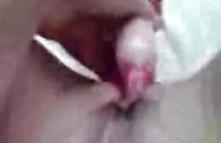 முயல்
