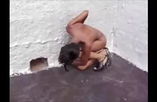 புதிய NAOM I காம்ப்பெல்