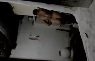 இலங்கை வோயூர்