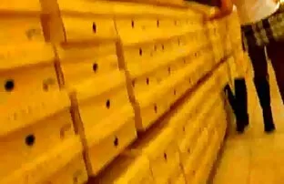 நடன உள்ளாடைகள்