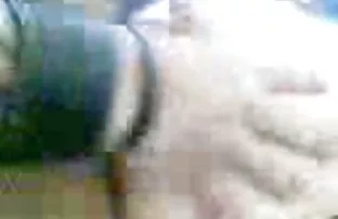 மலாய் தீர்வு