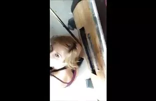 வாயை மூடு, அல்லது அவர்கள் எங்களைக் கேட்பார்கள்!